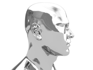 steel head