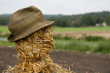 Stroh im (am) Kopf