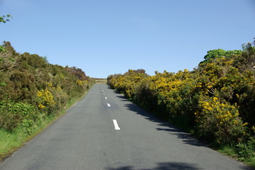 Route d'Irlande