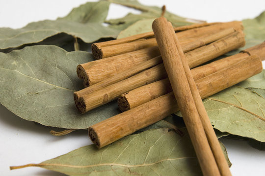 laurel y canela en rama