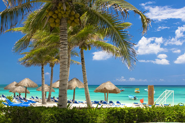 tropical beach © Mariusz Blach