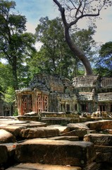 Tah Prohm (Angkor Wat) - Siam Reap - Cambodia / Kambodscha