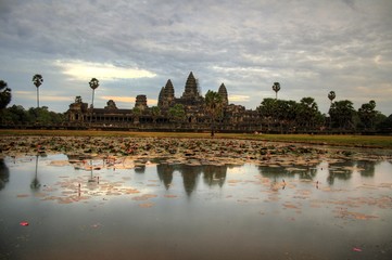 Fototapeta na wymiar Angkor Wat - Siam Reap - Cambodia / Kambodscha