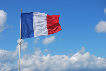 Naklejka na ściany i meble Francja flag, tricolor