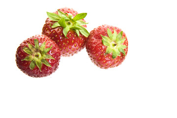 erdbeeren