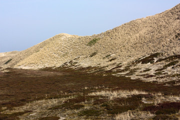 Dünenlandschaft auf Sylt