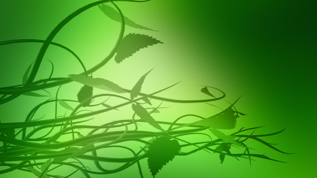 Floral background, LOOP