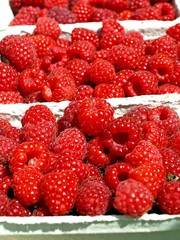 Himbeeren