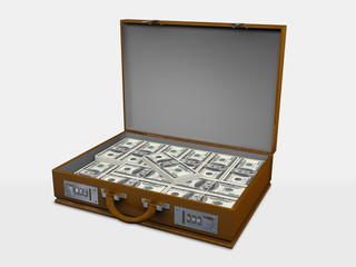 Briefcase with money