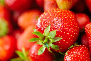 Erdbeeren formatfüllend
