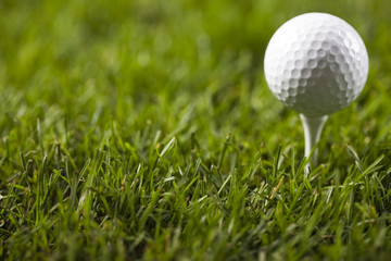 Golf ball on tee in grass