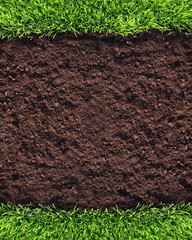 Healthy grass and soil background - 14744561