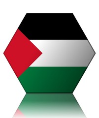 palestine drapeau hexagone palestine flag