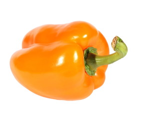 yellow  pepper on a white background