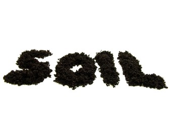 Soil text