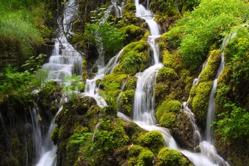 Gartenposter Wasserfälle im Moos © Aintschie