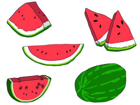 Watermelon vector illustrations