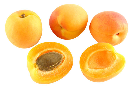 Vier Aprikosen - eine aufgeschnitten - freigestellt