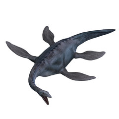 Elasmosaurus