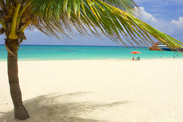 tropical beach © Mariusz Blach