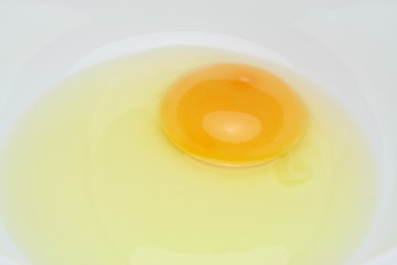 Egg Yolk