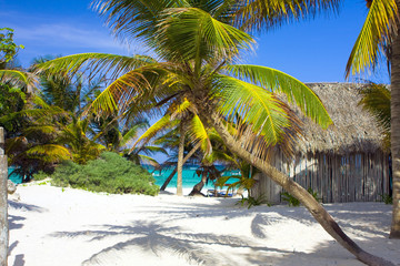 caribbean beach
