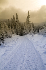 Winter road