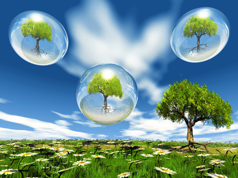 les arbres et les bulles