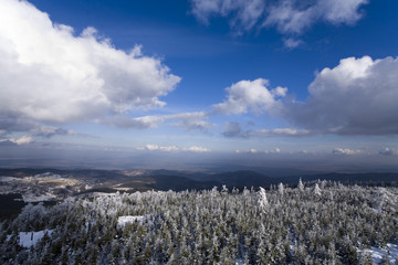 Winter scenics