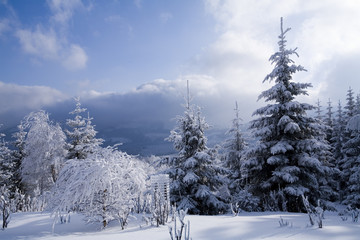 Winter scenics