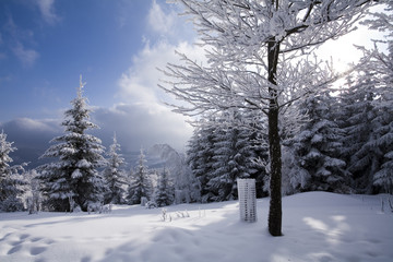 Winter scenics