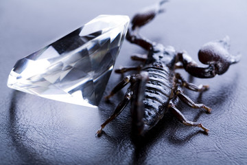 Diamond and Scorpion