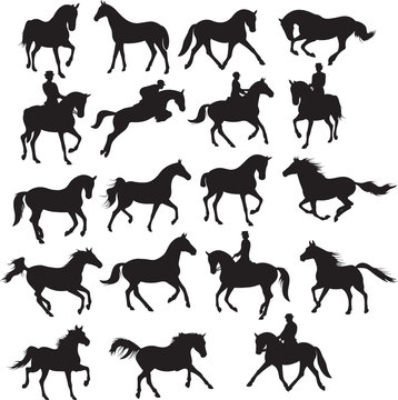 Horses set