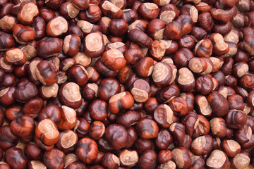 chestnuts background