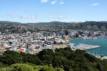 Fototapeta na wymiar Wellington, Nowa Zelandia