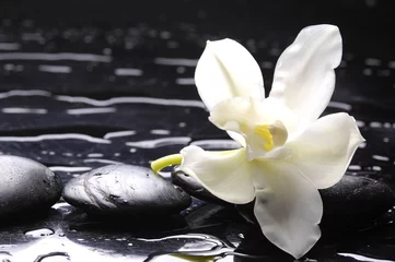 Foto auf Acrylglas Spa noch mit weißer Blume © Mee Ting