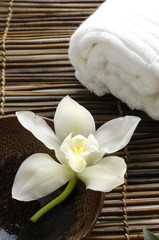 White orchid in a spa