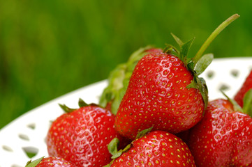 Fresh Strawberries