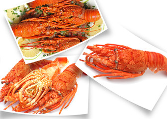 photos de langoustes