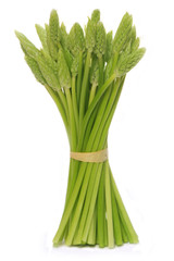 Wild Asparagus