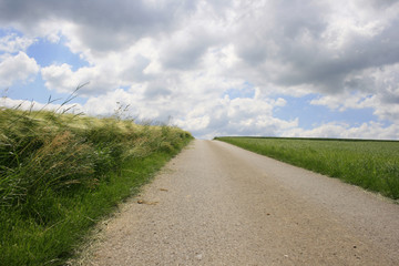 ZWISCHEN DEN FELDERN