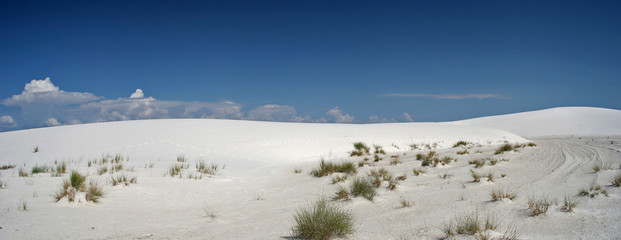 PANORAMIQUE WHITE SANDS PARK_USA