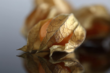 Physalis, Kapstachelbeere