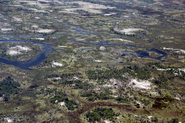 Okavango delta from the air