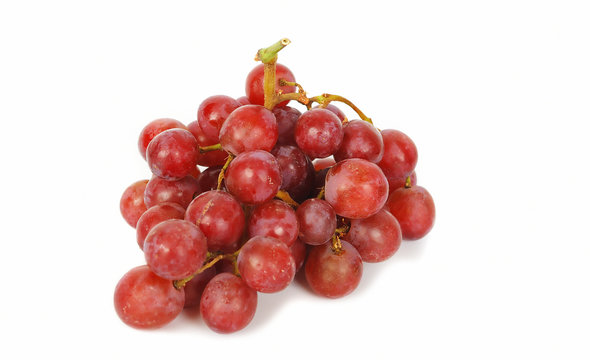 Branch of Red grapes