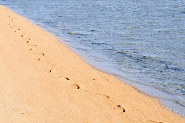 Fototapeta na wymiar footprints at coastline