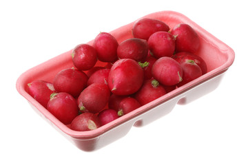Garden radish