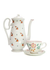 White tea service painted with dogroses isolated