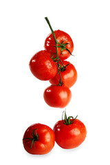 tomatoes