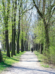 Obraz premium A woman at walk